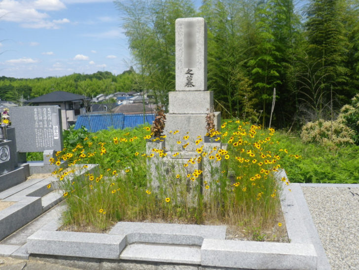 雑草の悩みを解消『お墓の除草工事』支援 - 奈良の「お墓よろず相談所 